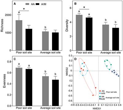 Responses of diazotrophic network structure and community diversity to alfalfa-maize intercropping are soil property-dependent